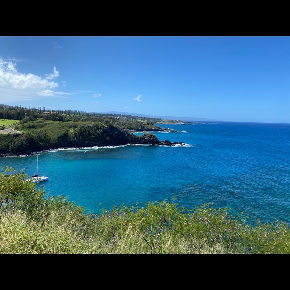 Meet your Posher, Morgan